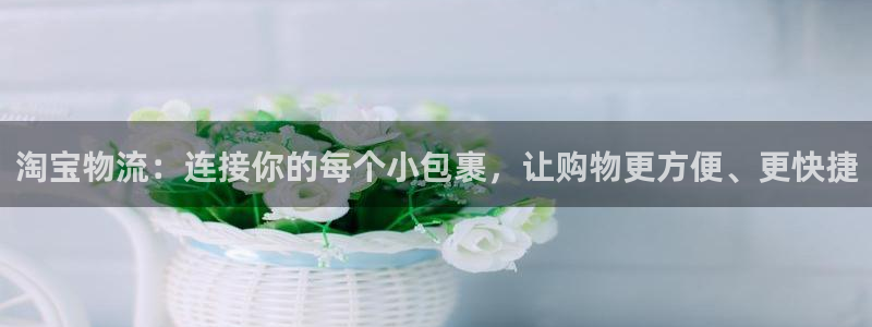 多多28提现不到账：淘宝物流：连接你