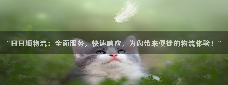 多多28最稳打法：“日日顺物流：全面