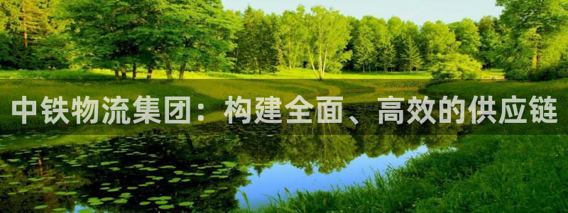 多多28自行车图片：中铁物流集团：构
