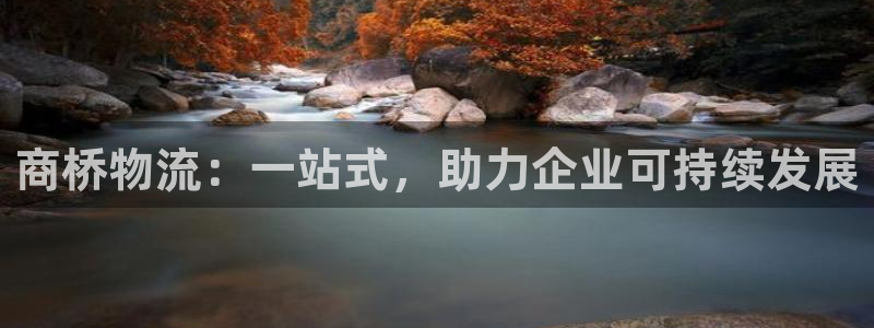 多多28官方网站是多少：商桥物流：一