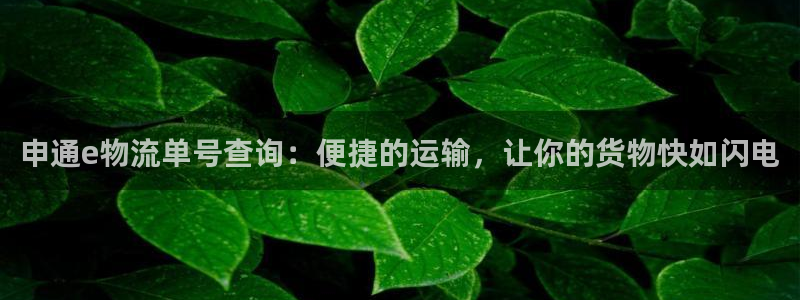 多多28取保