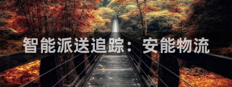 多多28是正规软件吗：智能派送追踪：