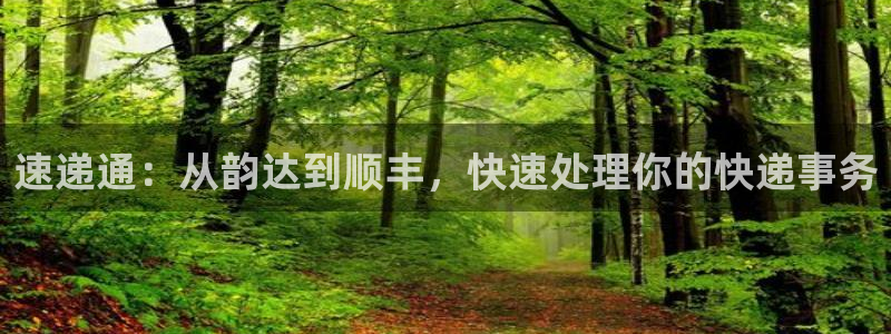 多多28官网下载：速递通：从韵达到顺