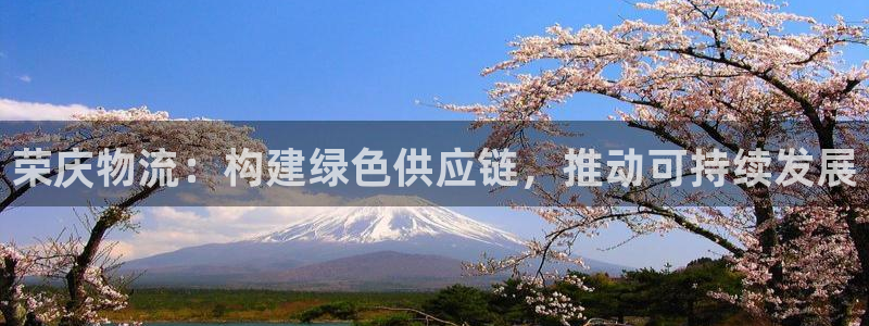 多多28加拿大官网：荣庆物流：构建绿