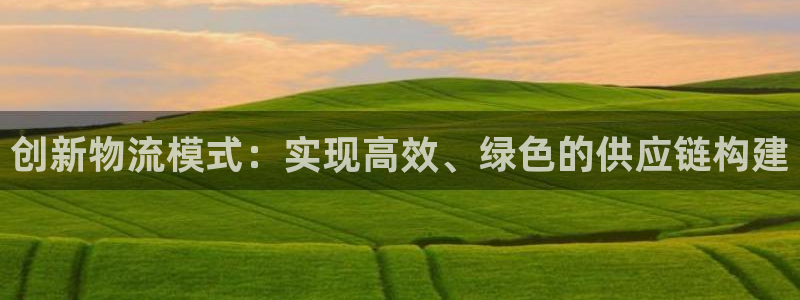 多多28h5链接：创新物流模式：实现