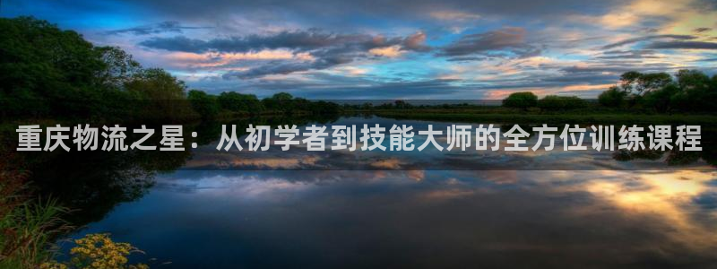 多多28APP是干什么的：重庆物流之
