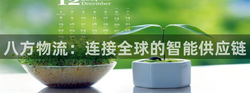 多多28是啥：八方物流：连接全球的智