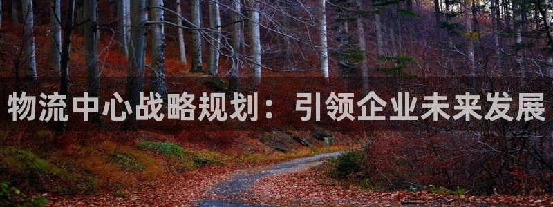多多28犯法吗：物流中心战略规划：引