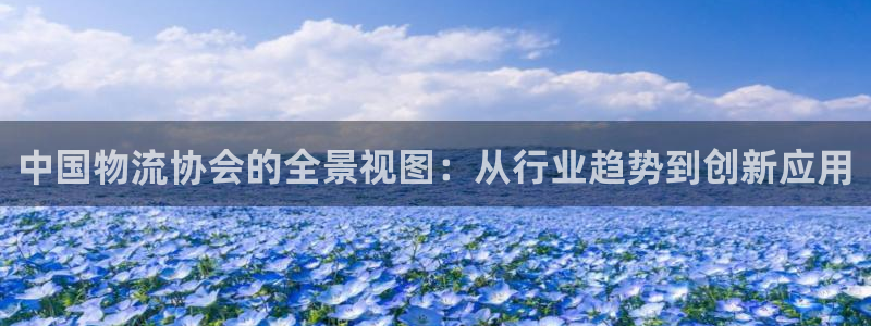 多多28网赌有什么风险：中国物流协会