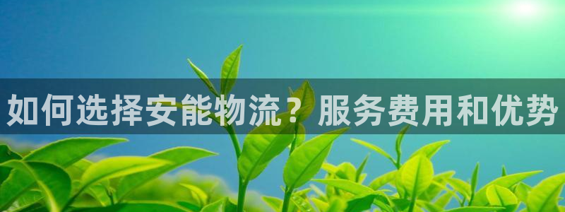 多多28官网入口pc28：如何选择安