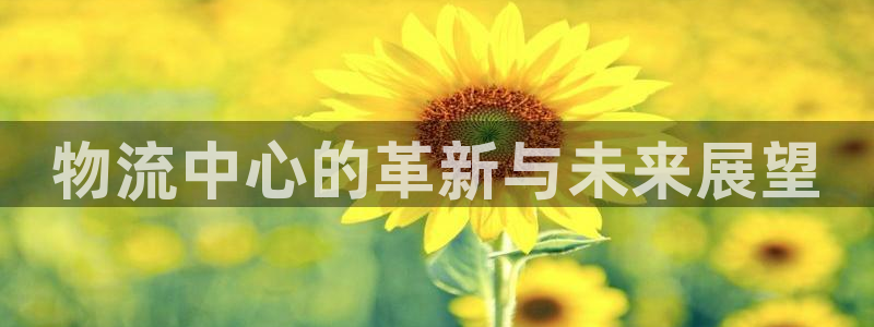 多多28注册官网：物流中心的革新与未来展望