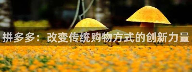 多多28防失联网址：拼多多：改变传统
