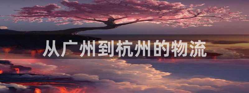 多多28app怎么注销：从广州到杭州