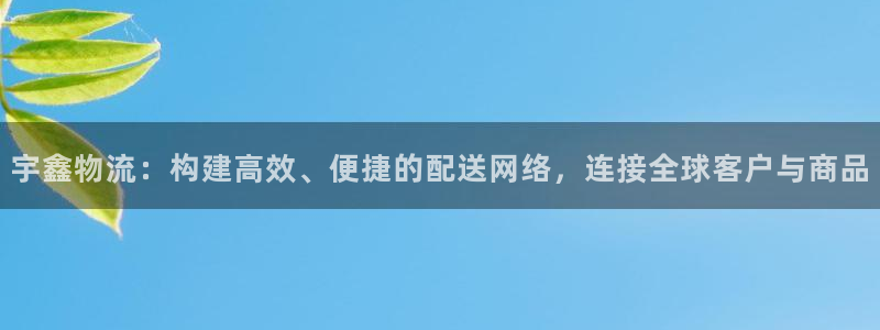 多多28登录不上咋回事：宇鑫物流：构