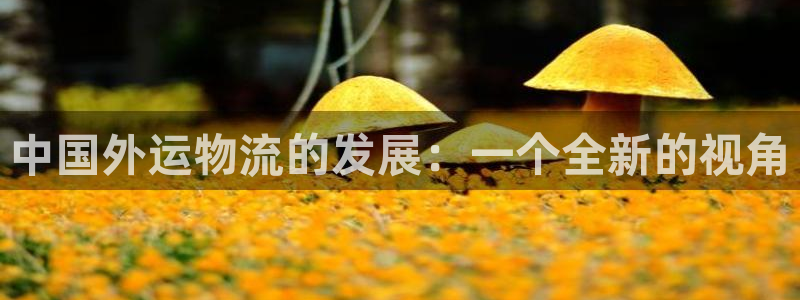 多多28不给提现：中国外运物流的发展