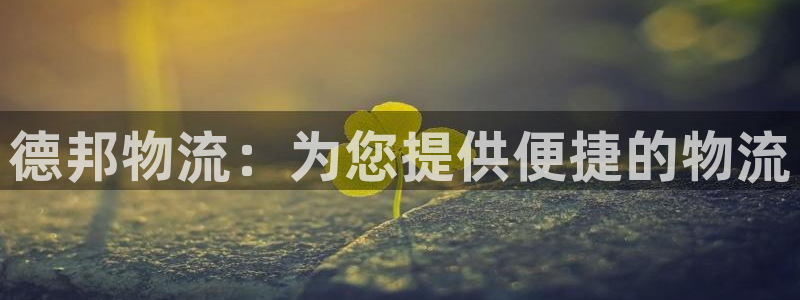 多多28官网版所有版本：德邦物流：为