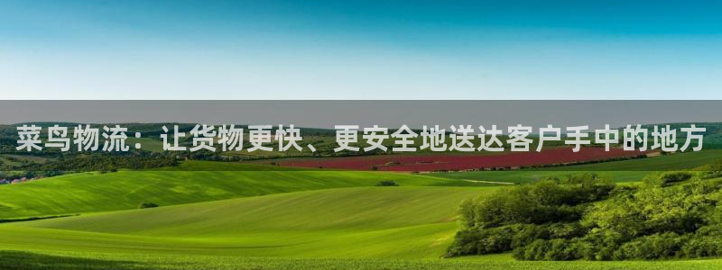 多多28下载不了：菜鸟物流：让货物更