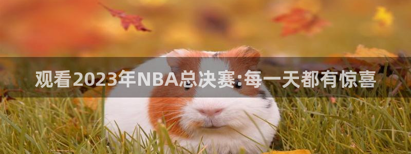 857直播体育赛事：观看2023年NBA总决赛:每一天都有惊喜