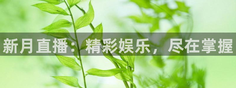 857专业体育赛事直播平台：新月直播：精彩娱乐，尽在掌握