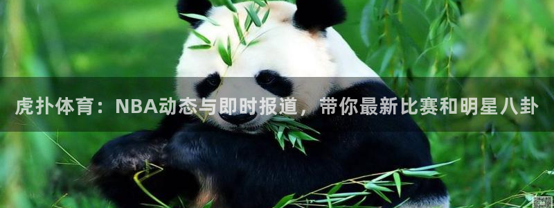 857直播-足球直播-nba直播-专业体育赛事直播平台：虎扑体育：NBA动态与即时报道，带你最新比赛和明星八卦
