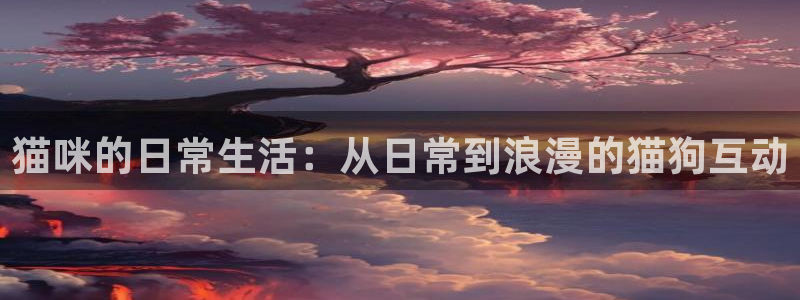857nba体育赛事直播：猫咪的日常生活：从日常到浪漫的猫狗互动