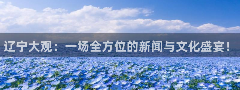 857体育赛事免费直播观看：辽宁大观：一场全方位的新闻与文化盛宴！