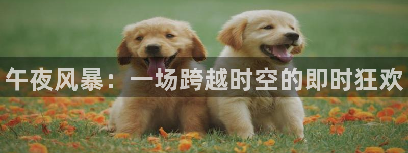 857体育直播：午夜风暴：一场跨越时空的即时狂欢