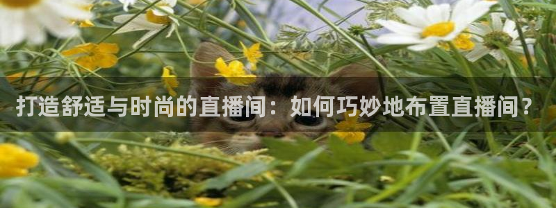 857直播nba在线观看：打造舒适与时尚的直播间：如何巧妙地布置直播间？