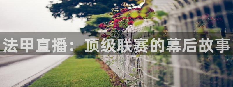857直播足球免费：法甲直播：顶级联赛的幕后故事